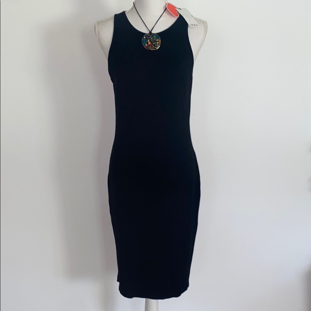 NWT Cider Bodycon Dress w/ Chico’s Necklace